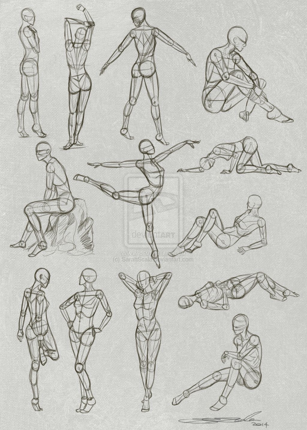 Body Sketches A Guide To Drawing Human Anatomy Sky Rye