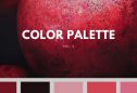 color palette –  inspiration (20 photos)