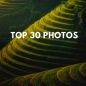 Top 30 amazing photos for your inspiration