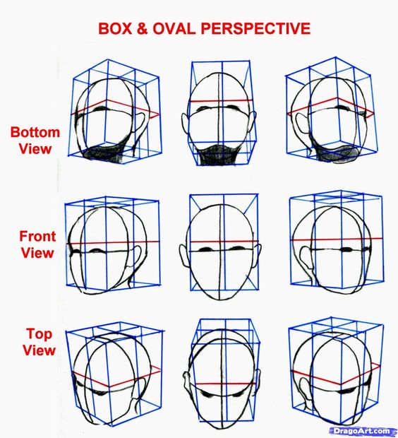 How To Draw A Face For Beginners And Pro Sky Rye Design