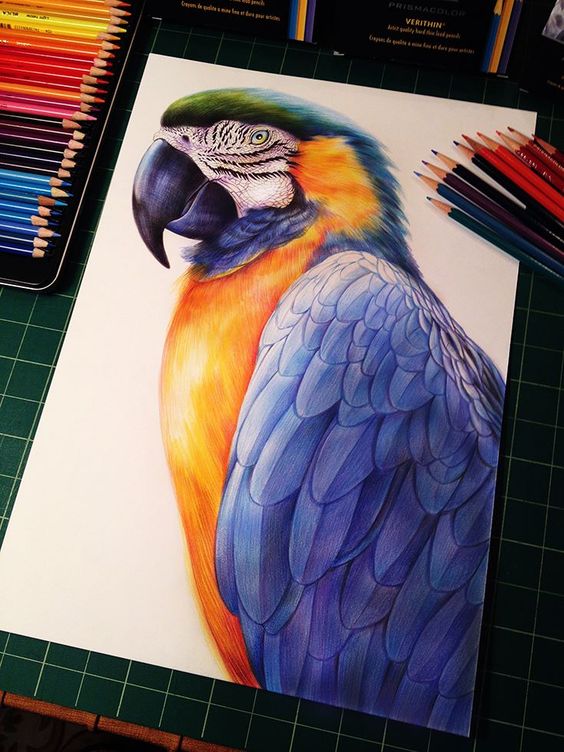 drawing ideas with colored pencils
