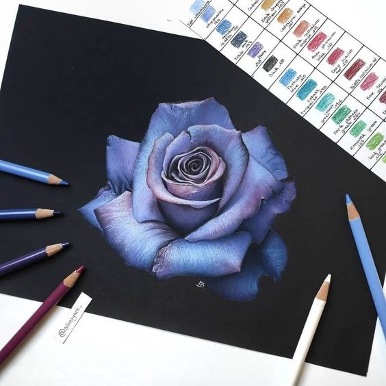 Colorful and Luminous Portrait Drawings | Prismacolor art, Colorful drawings,  Portrait drawing