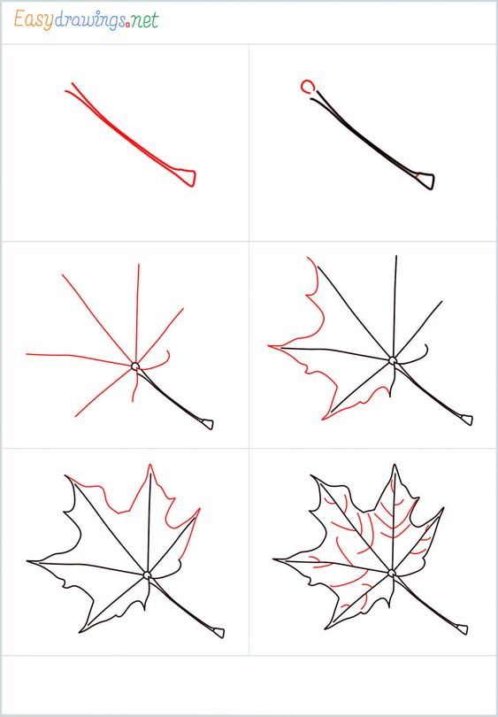 Doodle line drawing vector simple maple autumn leaf. Fall hand drawn  botanical sketch. Modern minimalist art. For poster, web design 11958699  Vector Art at Vecteezy