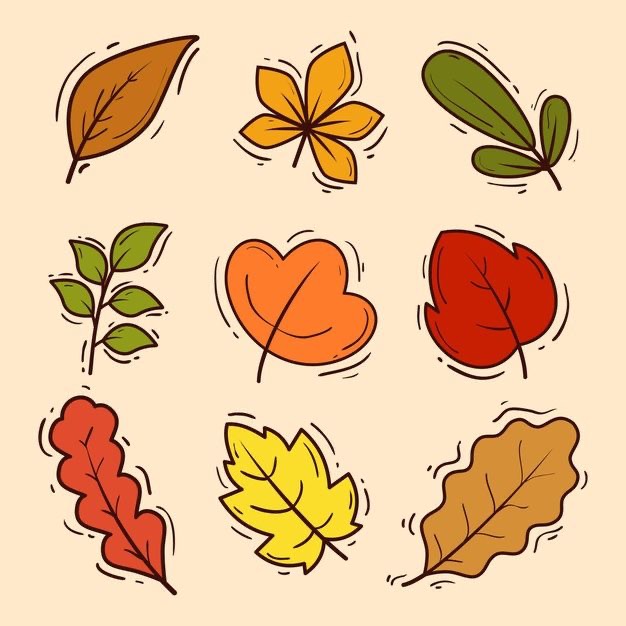 a collection of different colored leaves