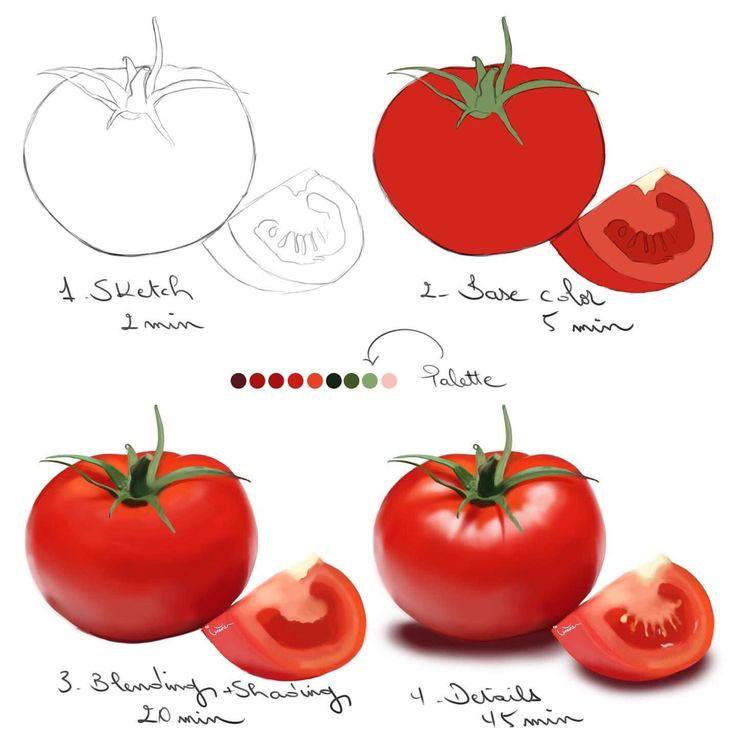 a drawing of a tomato