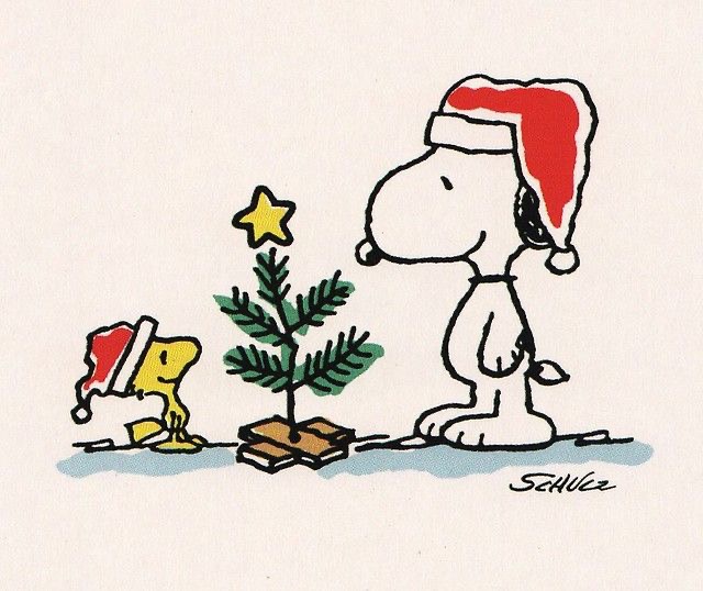 Charlie brown and snoopy with a christmas tree.