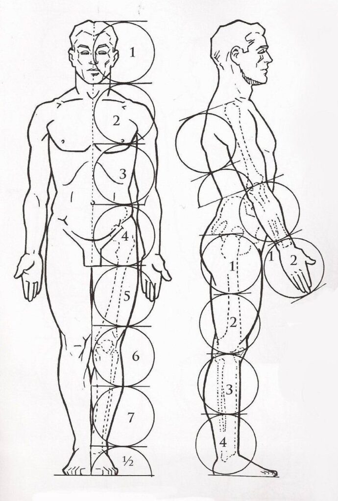 A diagram showing the position of the human body.