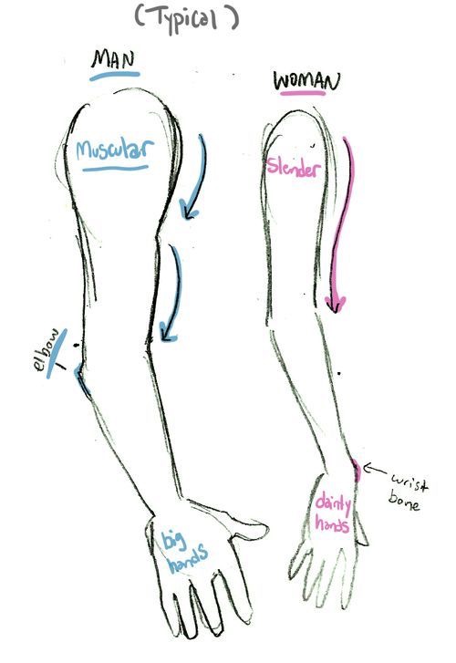 A drawing of a person's arm showing the different parts of the arm.