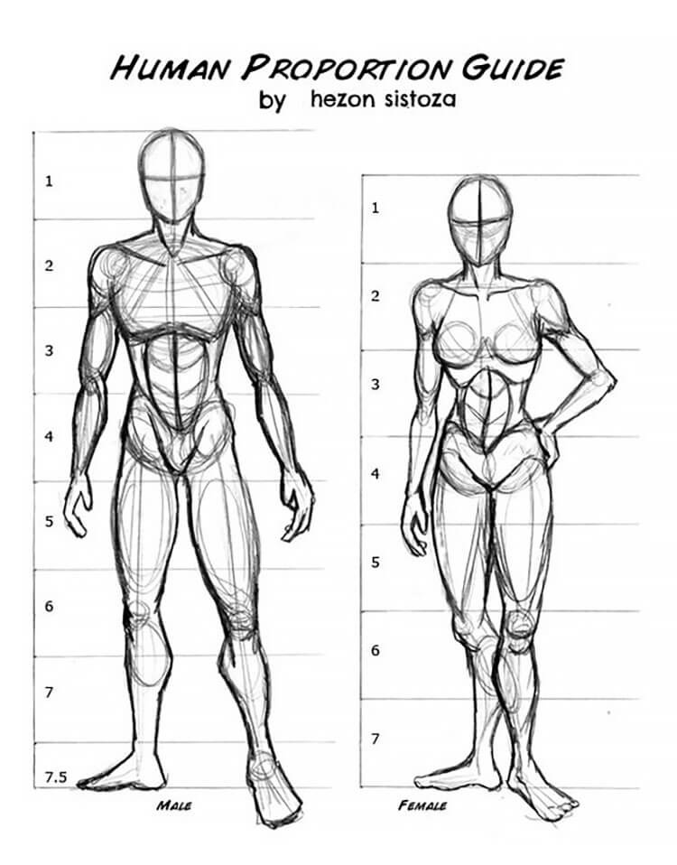 Human proportion guide by tony vasquez.