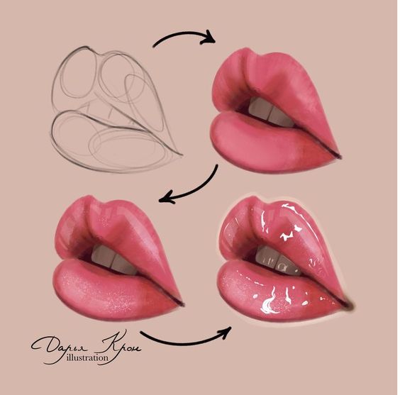 a drawing of lips and mouth parts