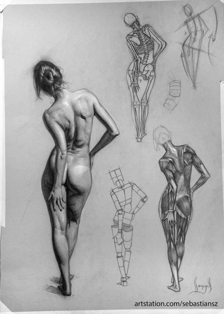 A black and white drawing of a woman in various poses.