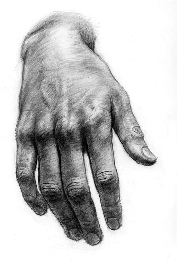 A black and white drawing of a hand.