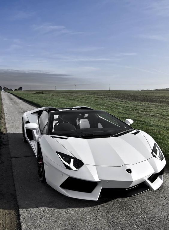 A white sports car is parked on a country road.