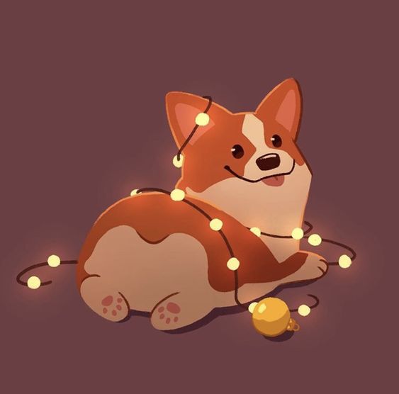A corgi dog laying on the ground with christmas lights.