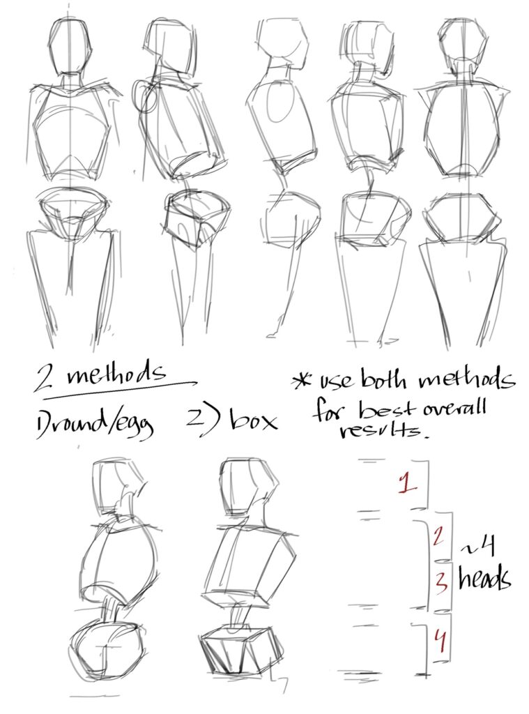 How to draw a mannequin.