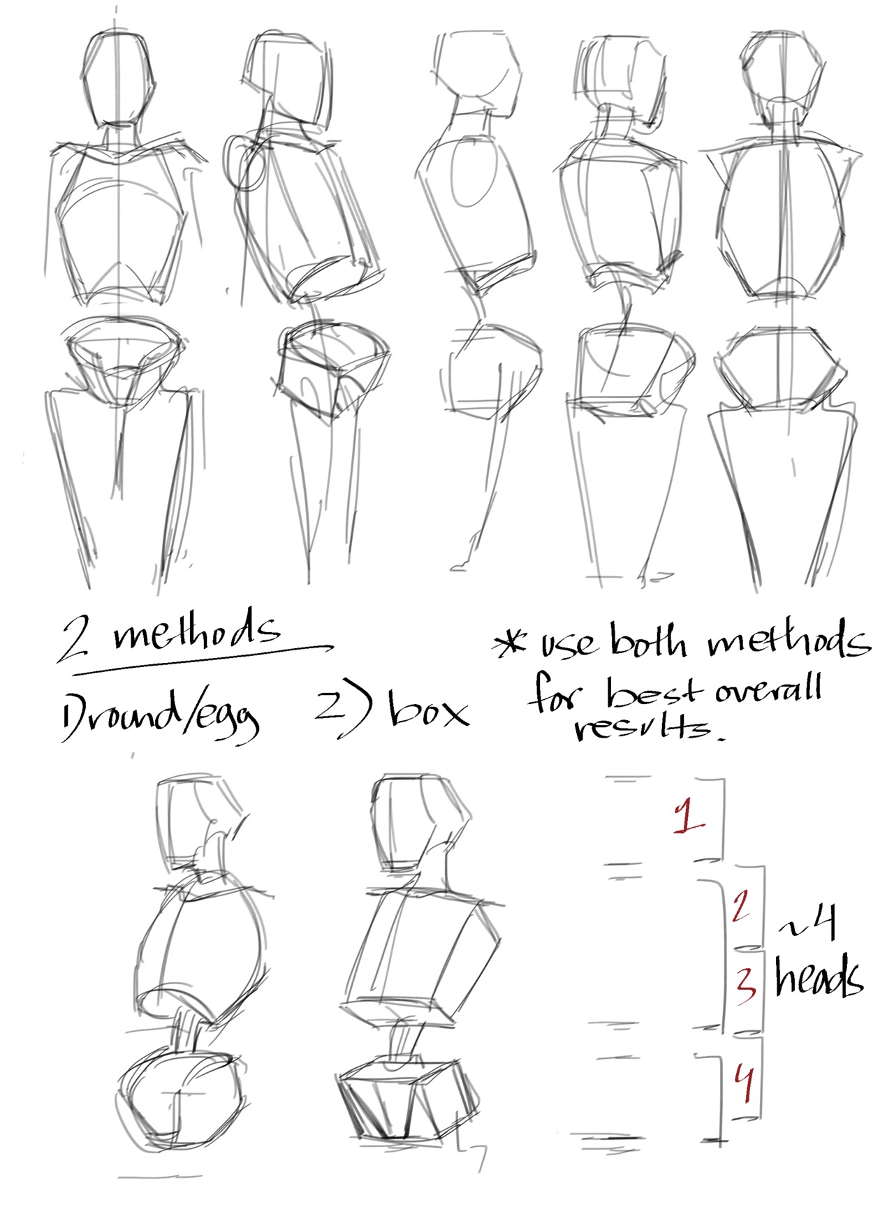 Body Sketches: A Guide to Drawing Human Anatomy | Sky Rye