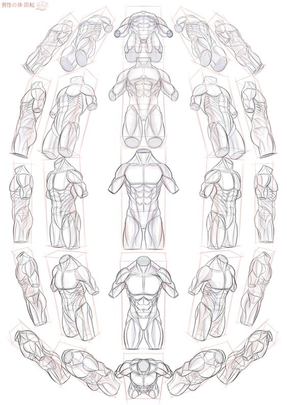 Drawing Base Poses: Tips and Techniques for Beginners