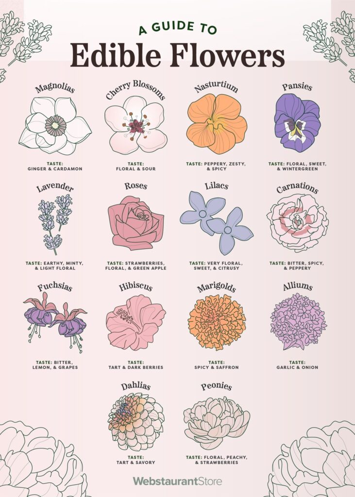 A guide to edible flowers.