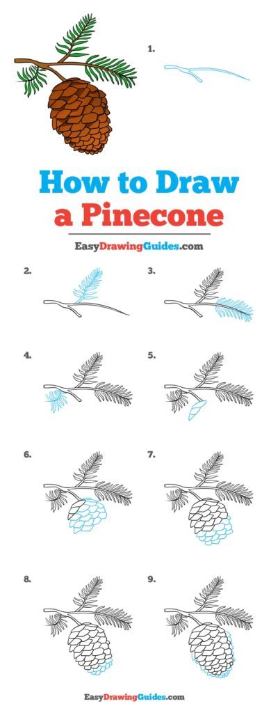 How to draw a pine cone.