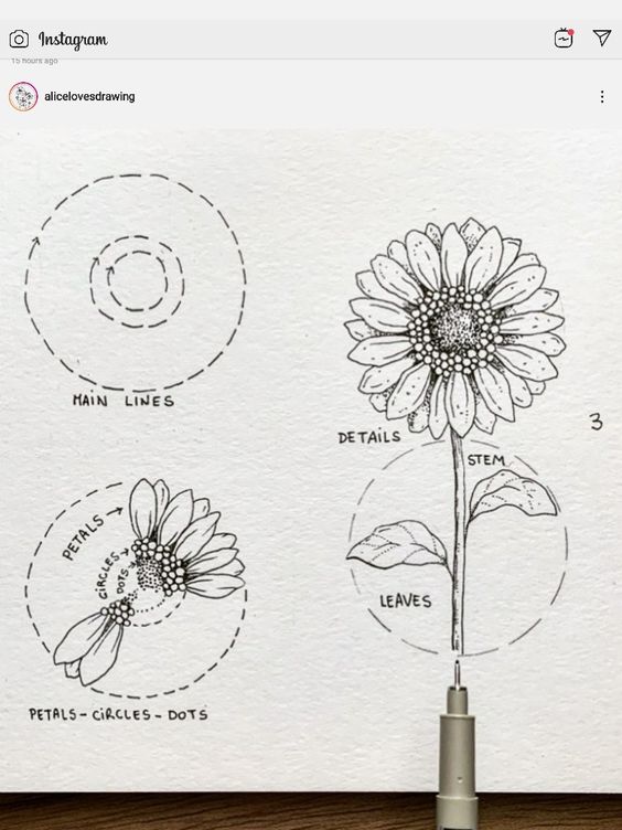 How to draw a sunflower on instagram.