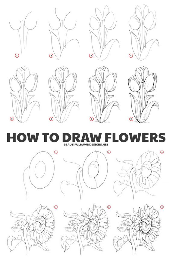 How to draw flowers step by step.