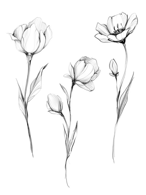 A set of black and white flowers on a white background.