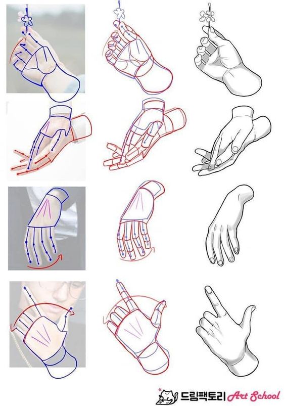 Illustrations demonstrating step-by-step hand drawing techniques from basic shapes to detailed outlines.