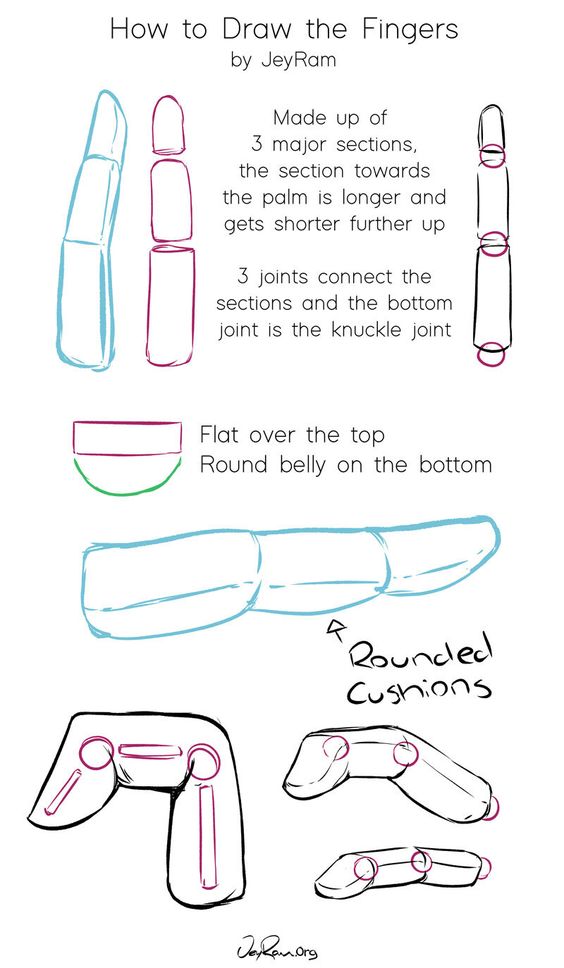 Step-by-step instructions for drawing fingers with labeled parts and examples of finger cushion shapes.