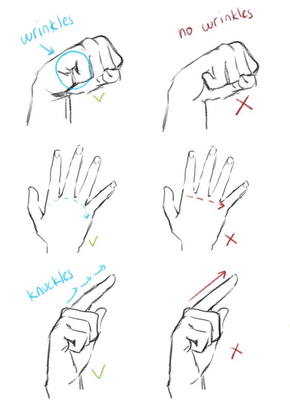 A set of illustrations showing the correct and incorrect ways to depict hands, focusing on the presence of wrinkles and knuckles.