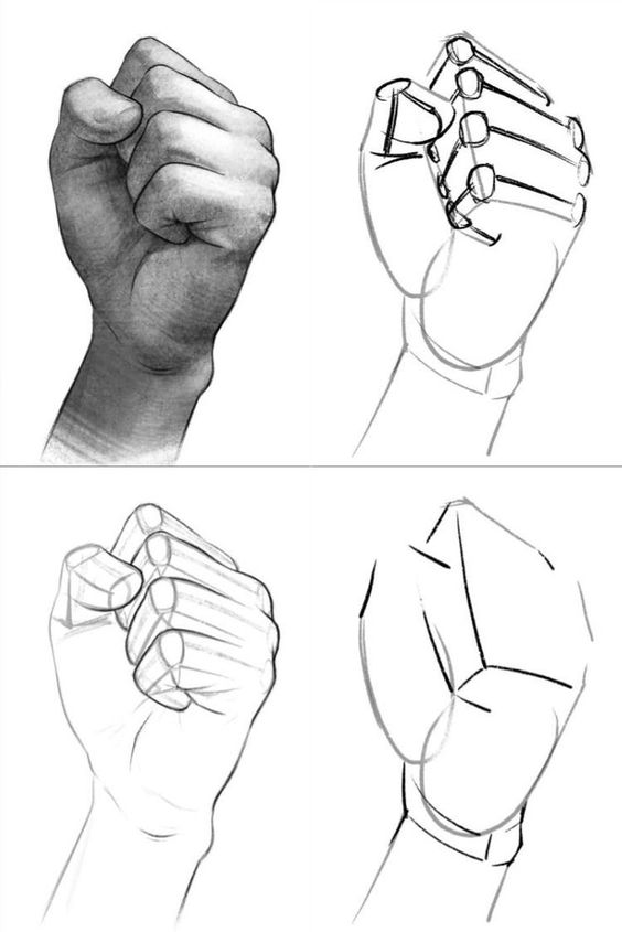Four stages of drawing a clenched fist from basic structure to detailed sketch.