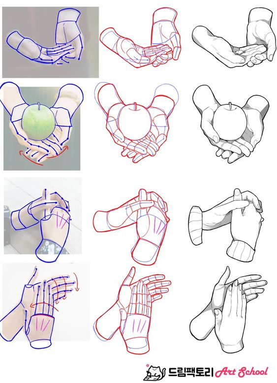 A tutorial demonstrating various steps to draw hands holding objects from different angles.