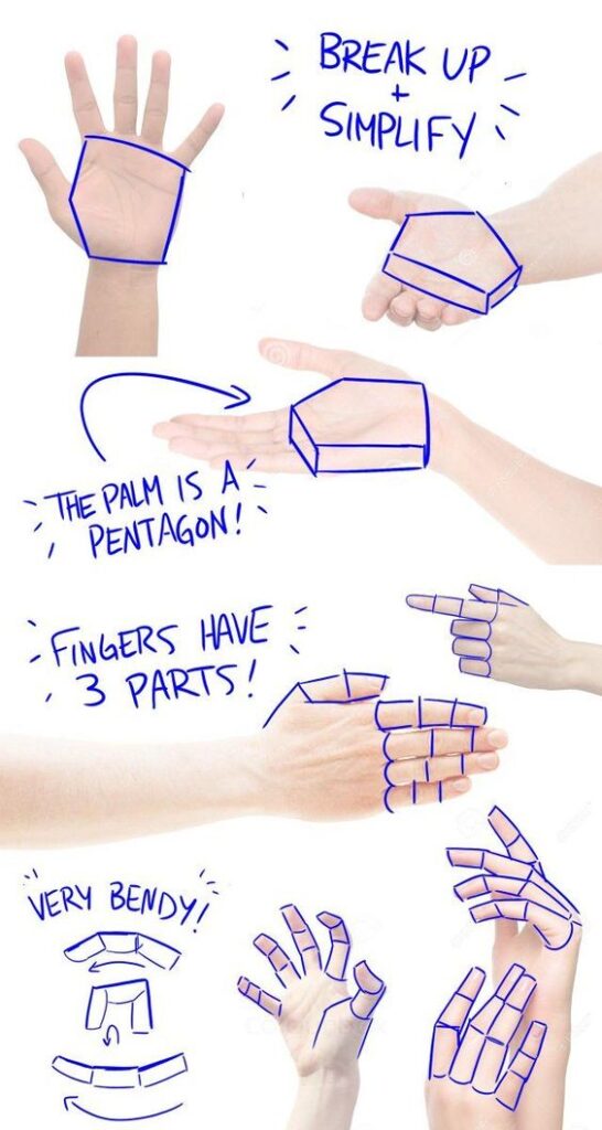 A step-by-step guide on drawing hands by breaking them down into simpler geometric shapes.