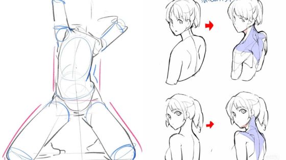 Tutorial sketches displaying the process of drawing an anime character from a basic structure to a detailed profile view.