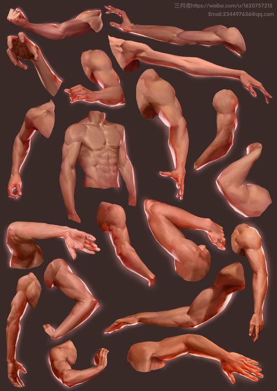 A collage of various muscular human body parts, such as arms, legs, and a torso, depicted in a realistic, three-dimensional style.