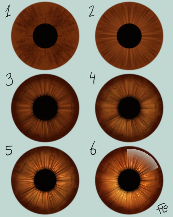 Six close-up images of different brown iris patterns labeled 1 through 6, showing variations in texture and color.