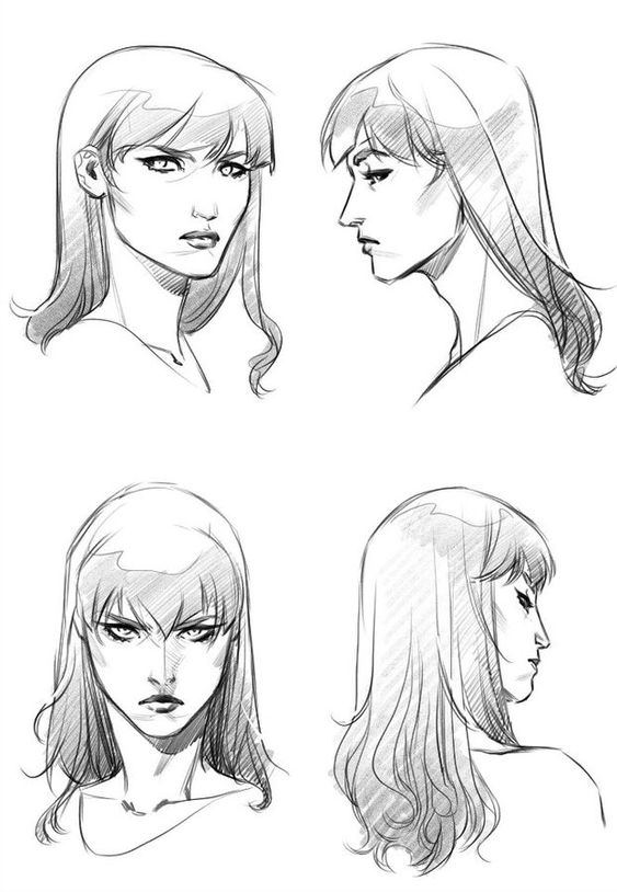 Four pencil sketches depicting a woman's head in different profiles and angles, showcasing variations in hairstyle and facial expressions.