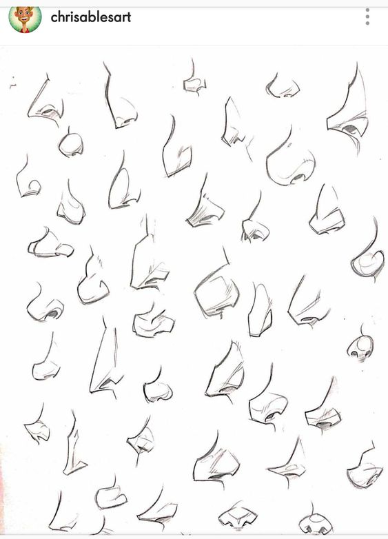 Sketch sheet featuring various styles and angles of human noses, drawn in pencil with light shading.