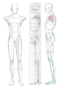 Human Figure Drawing: Tips for Beginners | Sky Rye Design