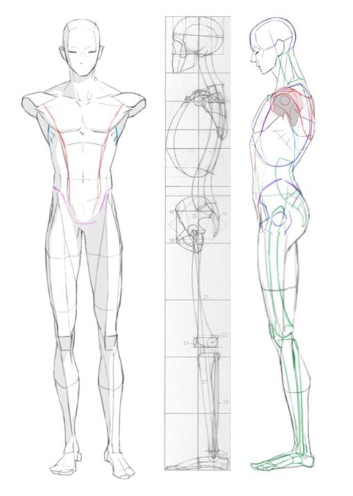 Human Figure Drawing: Tips for Beginners | Sky Rye Design