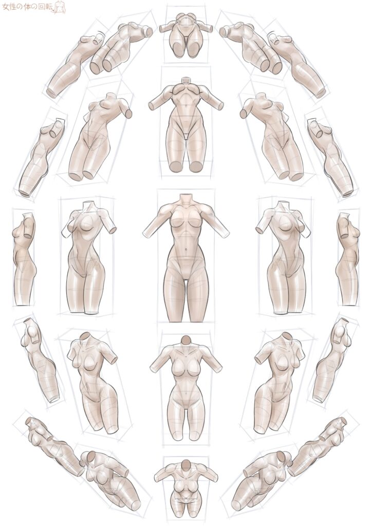 A circular arrangement of 21 sketches depicting various anatomical poses of a female torso from multiple angles, showcasing different perspectives and orientations.