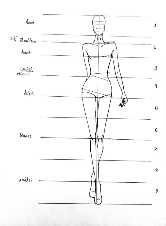 Fashion design sketches of a female figure segmented into nine equal parts, with labeled lines indicating head, shoulders, bust, waist, hips, knees, and ankles.