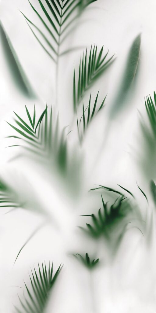 Green palm leaves with soft focus appear against a white background.