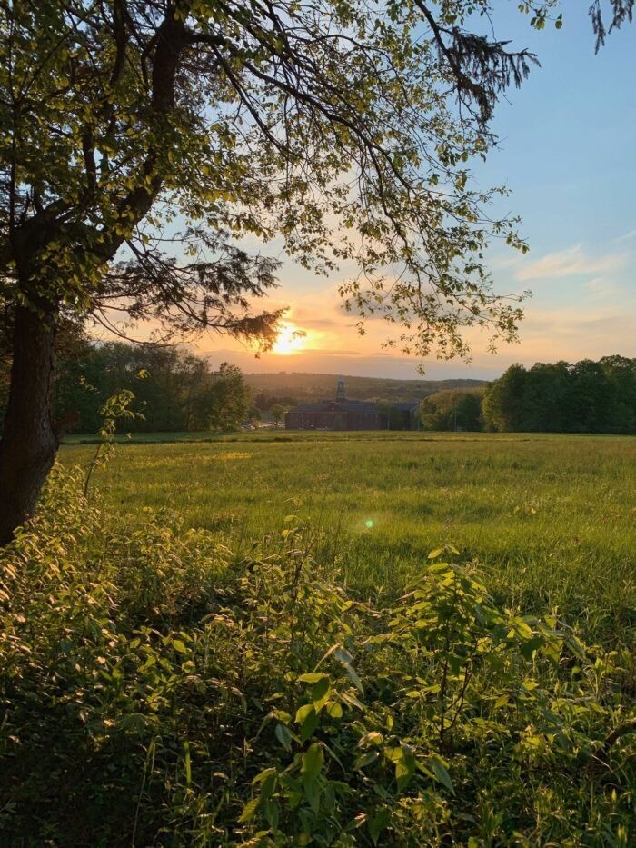 Sun setting over a green field with trees framing the view and a distant building visible in the background.