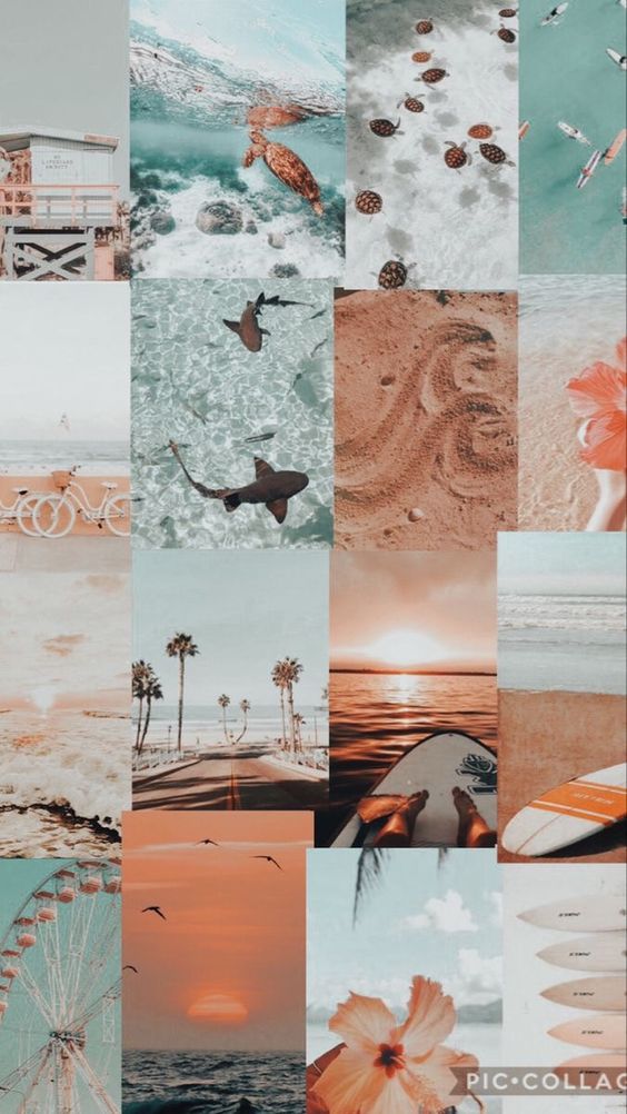A collage with beach scenes, palm trees, ocean waves, a ferris wheel, surfboards, marine life, and sunset views. Colors are predominantly teal, coral, and tan.