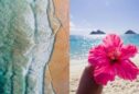 iPhone Wallpaper Summer: 10 Stunning Designs for Your Home Screen