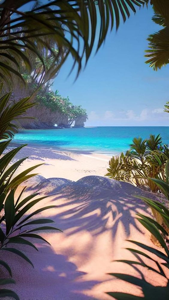 A sandy beach with clear blue water is framed by tropical plants and palm fronds, under a sunny sky with light clouds.