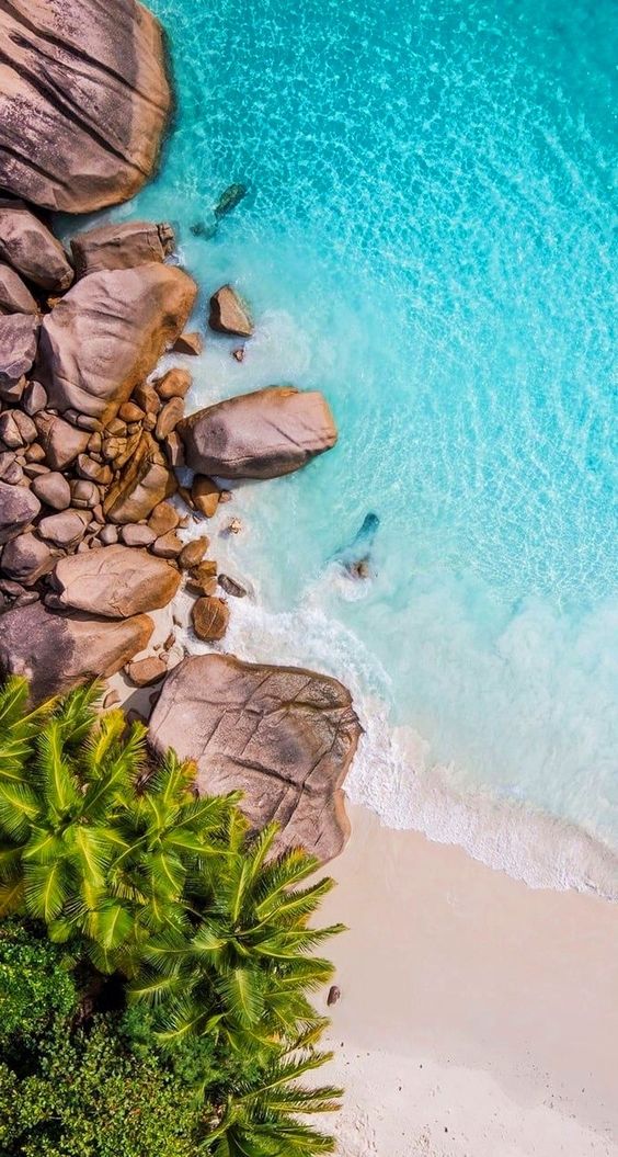 iPhone Wallpaper Summer: 10 Stunning Designs for Your Screen
