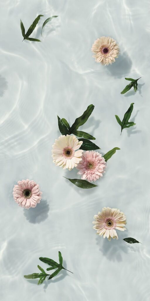 Pink and white flowers along with green leaves float on water, casting soft shadows on the rippled surface.