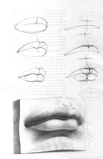 Step-by-step guide to drawing realistic lips with preliminary sketches and a finished shaded image showcasing detailed techniques.