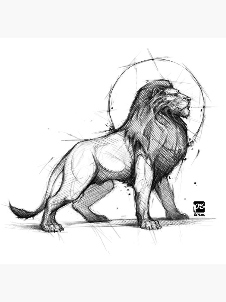 Hand-drawn lion sketch with detailed mane, in a majestic stance, with circular background elements highlighting its form.
